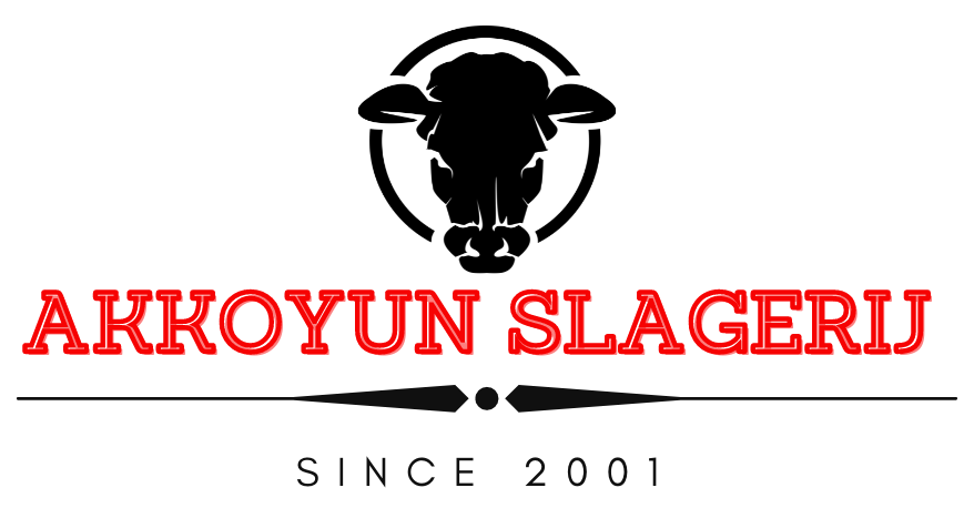 akkoyun-logo